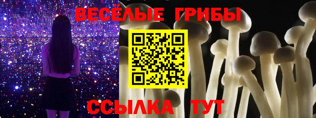Галлюциногенные грибы GOLDEN TEACHER  Псилоцибиновые грибы Psilocybe  Вход с VPN  Дальнереченск 
